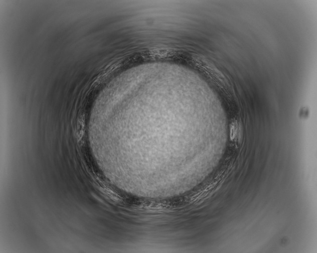 X0000098051011200804181318