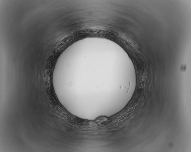 X0000098051013200804181318