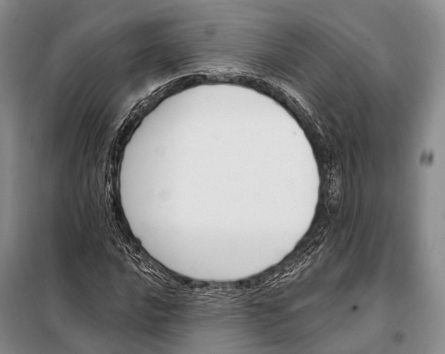 X0000098051016200804181318