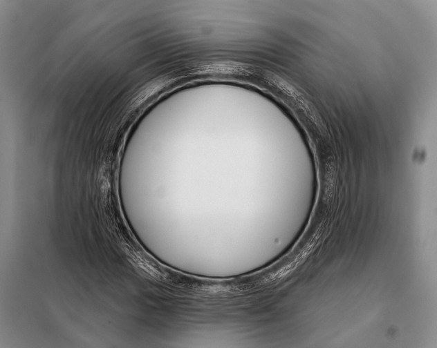 X0000098051017200804181318