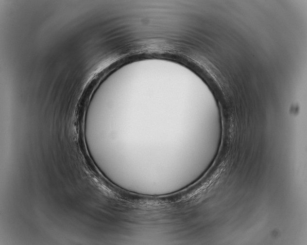 X0000098051018200804181318