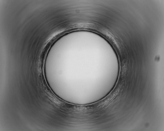 X0000098051019200804181318