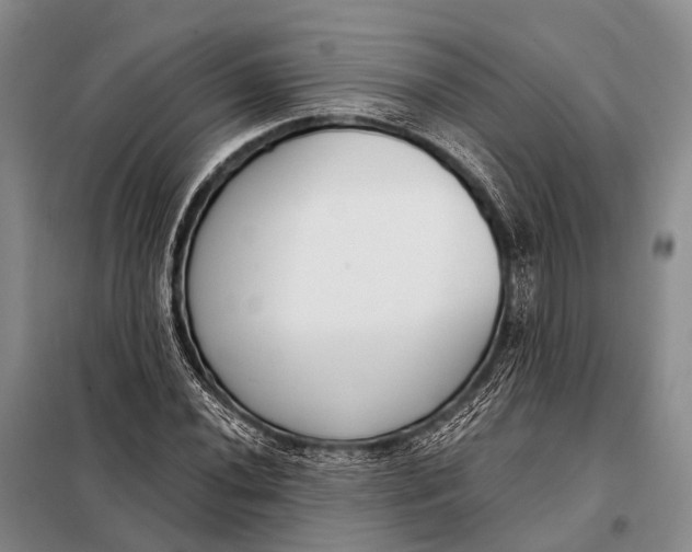 X0000098051020200804181318