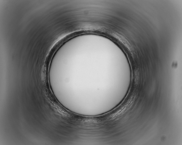 X0000098051021200804181318