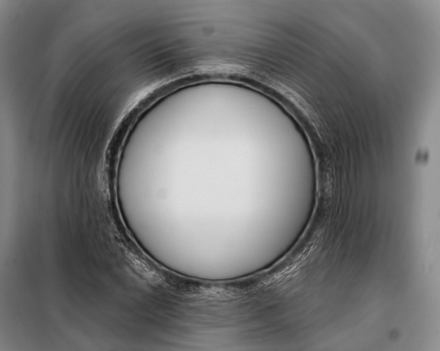 X0000098051022200804181318