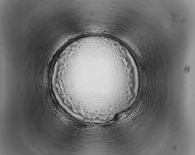 X0000098051023200804181318