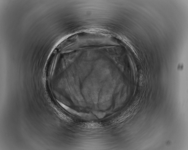 X0000098051024200804181318