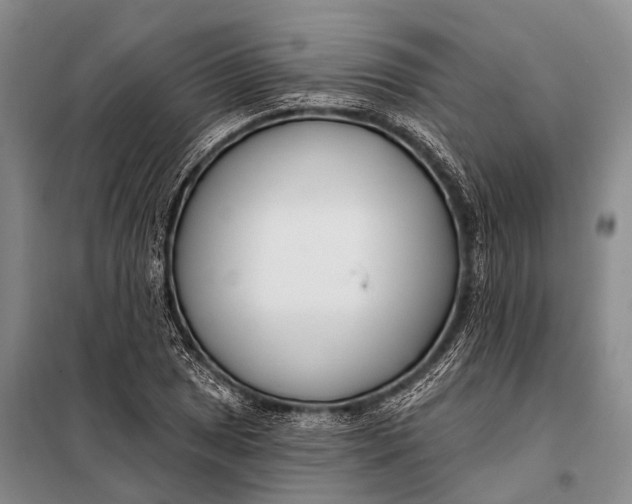 X0000098051025200804181318