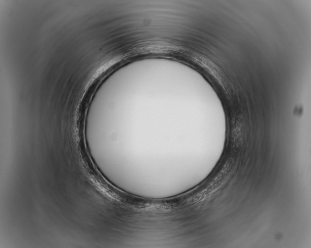 X0000098051026200804181318