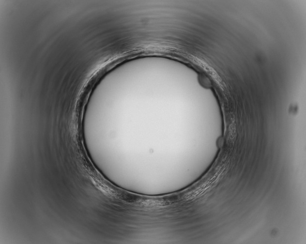 X0000098051027200804181318