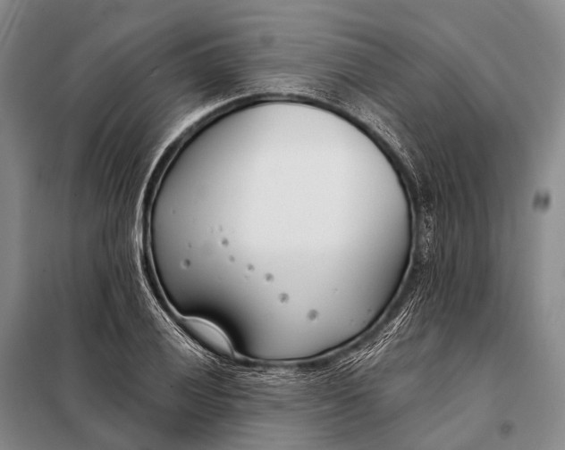 X0000098051028200804181318