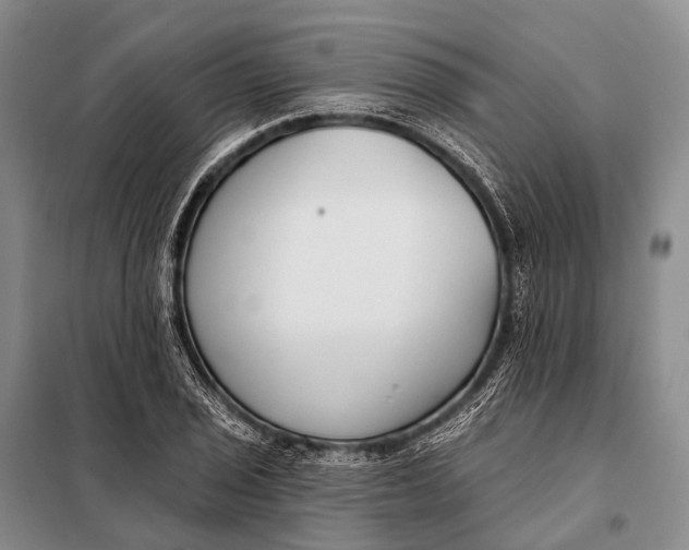 X0000098051029200804181318