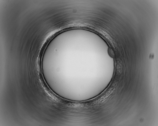 X0000098051030200804181318