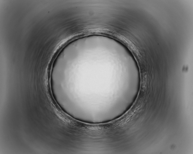 X0000098051031200804181318