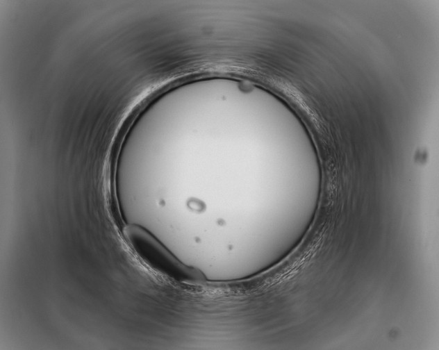 X0000098051032200804181318