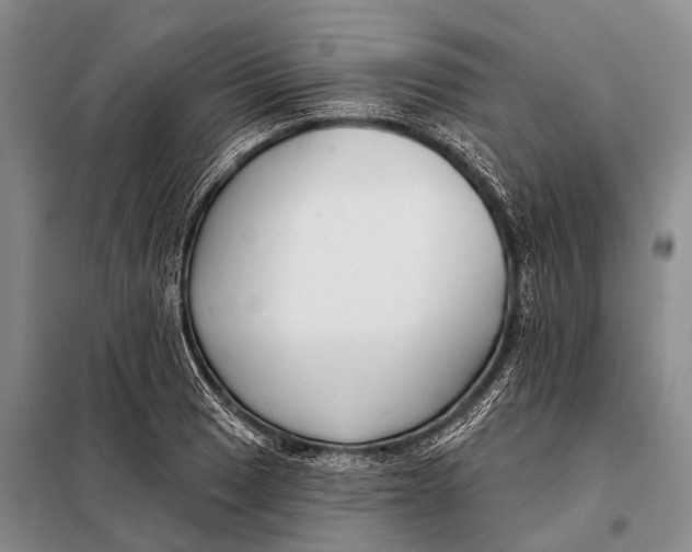 X0000098051033200804181318