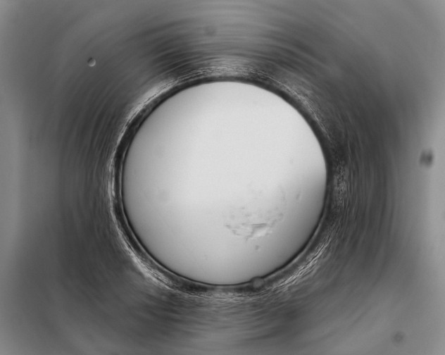 X0000098051034200804181318