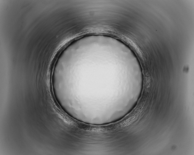 X0000098051035200804181318