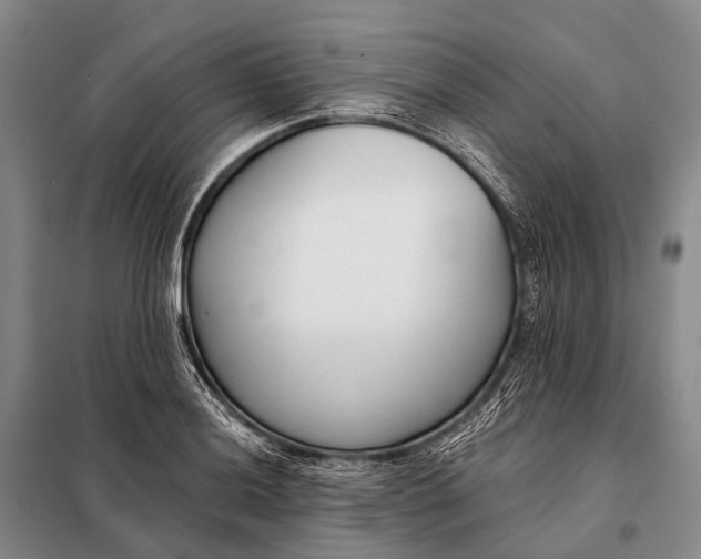 X0000098051036200804181318