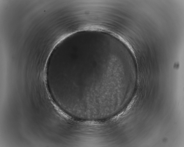 X0000098051037200804181318