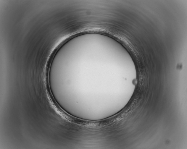 X0000098051038200804181318