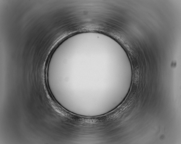 X0000098051039200804181318