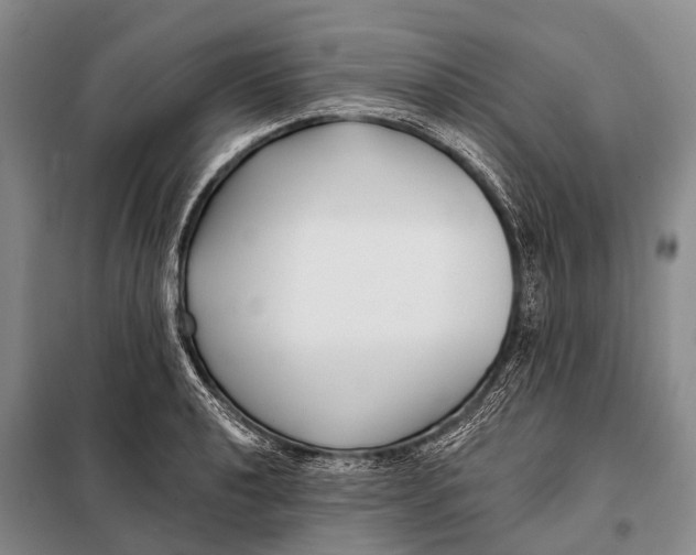 X0000098051040200804181318