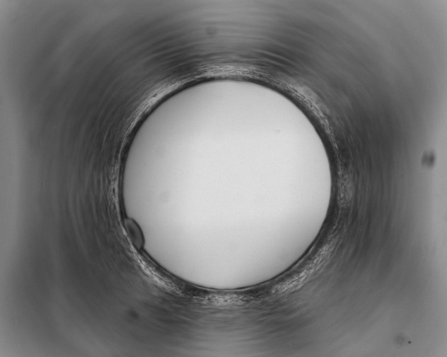 X0000098051041200804181318