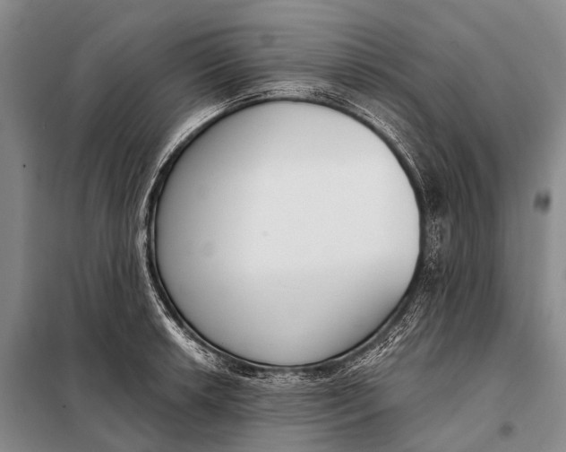 X0000098051042200804181318