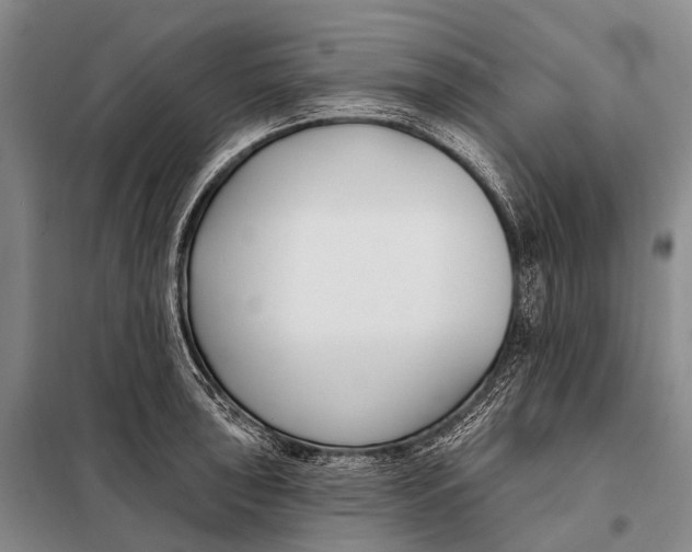 X0000098051043200804181318