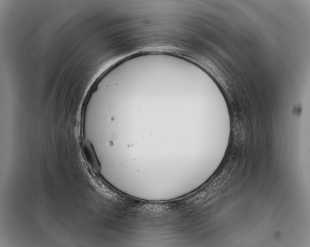 X0000098051044200804181318