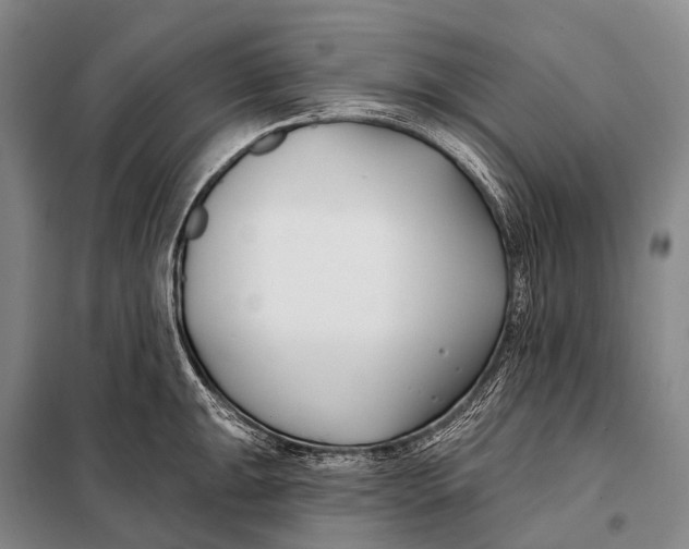 X0000098051047200804181318