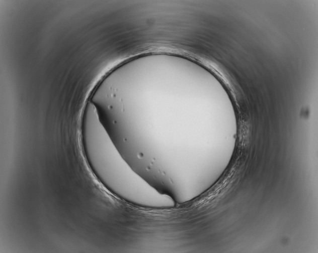 X0000098051048200804181318