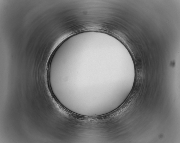 X0000098051050200804181318