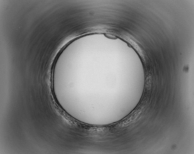 X0000098051051200804181318