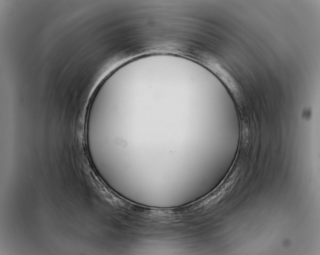 X0000098051052200804181318