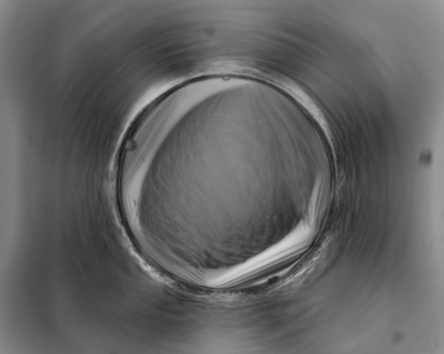 X0000098051053200804181318