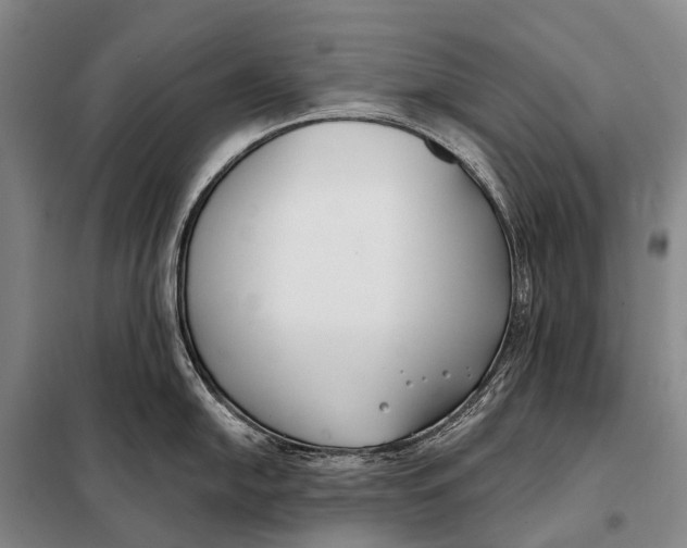 X0000098051054200804181318