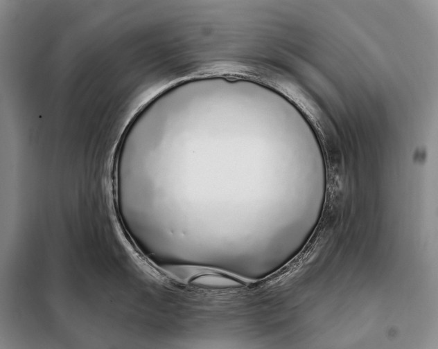 X0000098051055200804181318