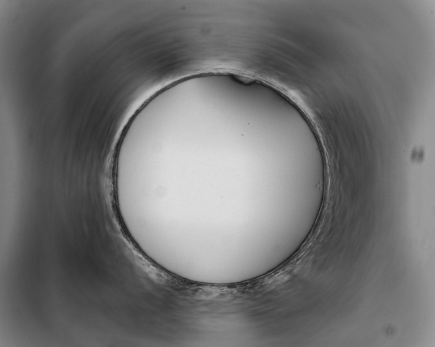 X0000098051056200804181319