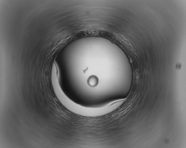 X0000098051060200804181318