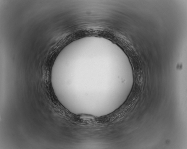 X0000098051061200804181318