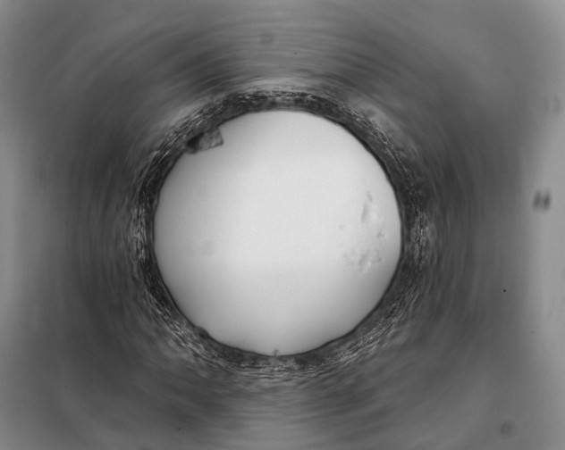 X0000098051062200804181318