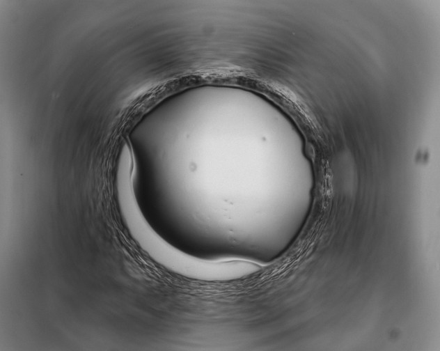 X0000098051063200804181318