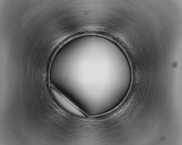 X0000098051065200804181318