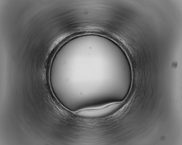 X0000098051066200804181318