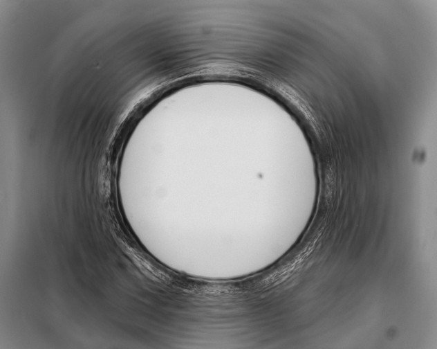 X0000098051067200804181318