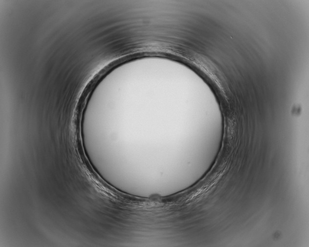 X0000098051068200804181318