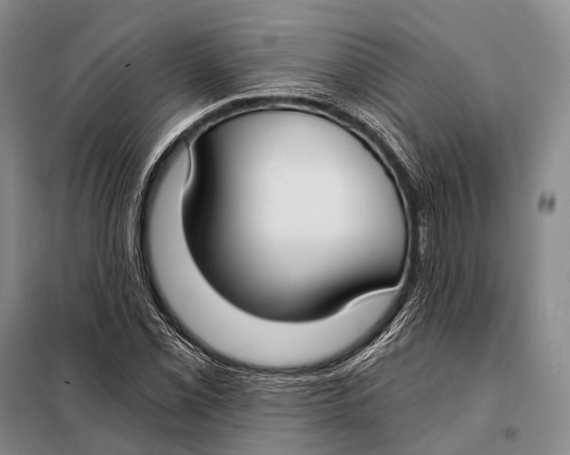 X0000098051069200804181318