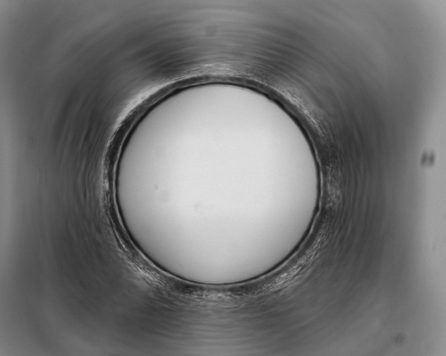 X0000098051070200804181317